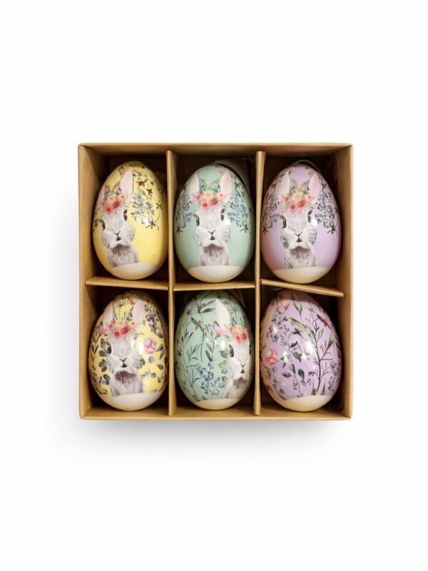 eggs ايستر زينة ايستر    بيض ester decoration    egghunt  egg hunting easter decorations زينة عيد الفصح محل ايستر بيض ايستر store 
بيض عيد الفصح بيض فلين  بيض بي بوكس على شكل ارنب