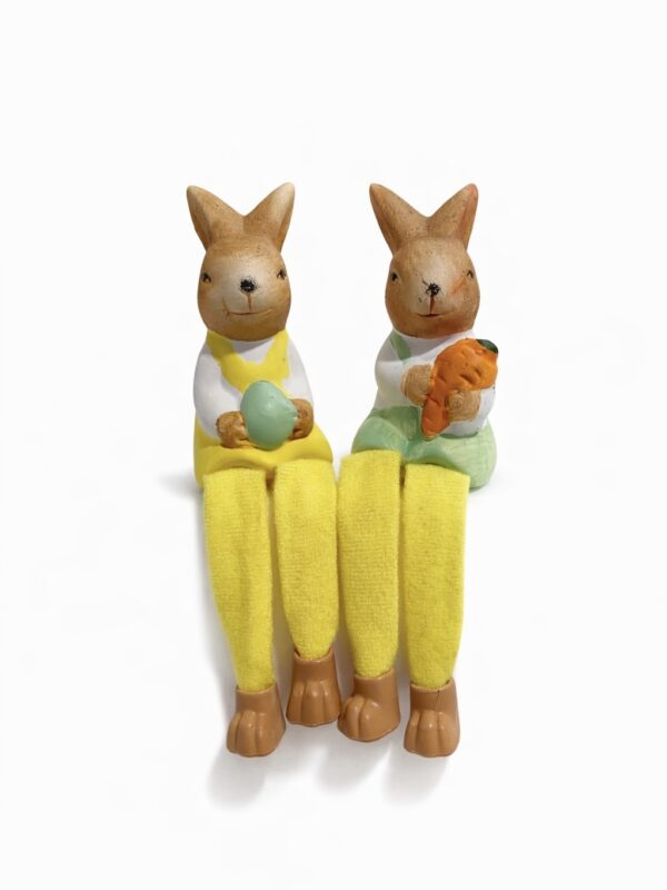 ارنب ايسر مدلي رجليه