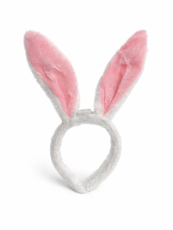 eggs ايستر زينة ايستر بيض ester decoration egghunt egg hunting easter decorations زينة عيد الفصح محل ايستر بيض ايستر store بيض عيد الفصح بيض فلين طوق ارنب