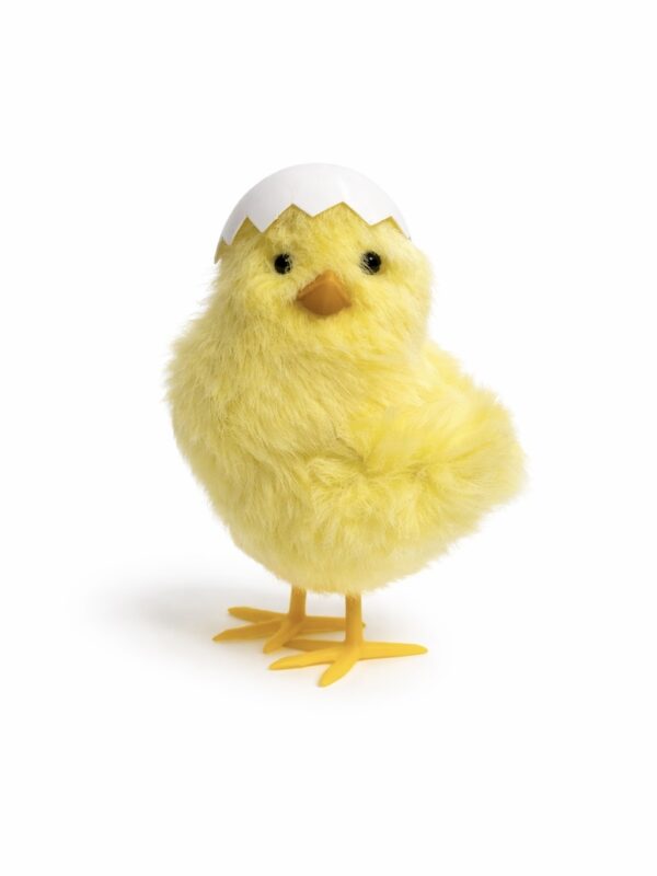 صوص ايستر زينة ايستر صوص easter chicken fluffy chicken