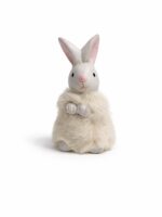 ⁦ارنب فرو⁩ - الصورة ⁦2⁩