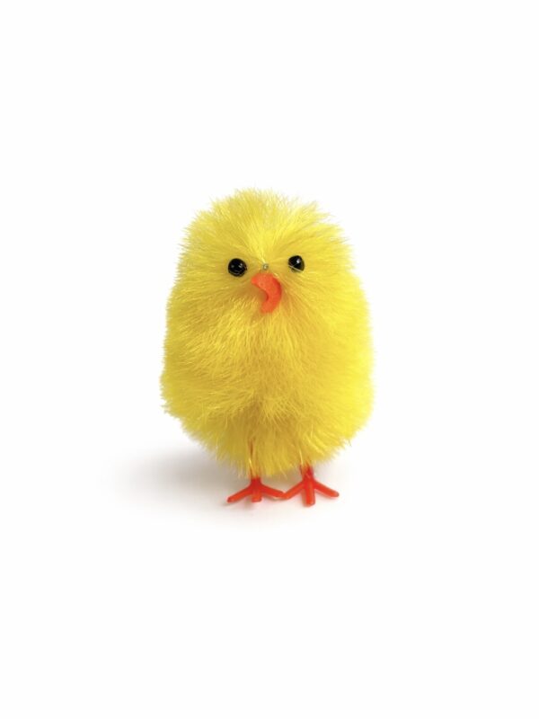 Fluffy Yellow Chick