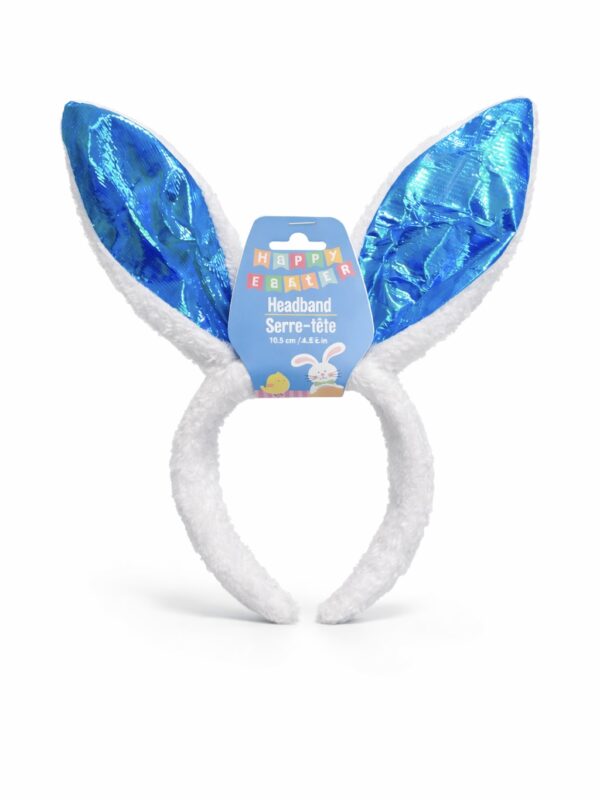 eggs ايستر زينة ايستر    بيض ester decoration    egghunt  egg hunting easter decorations زينة عيد الفصح محل ايستر بيض ايستر طوق ارنب طوق شعر على شكل ارنب