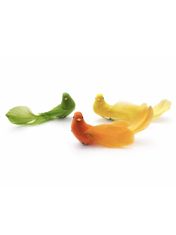 زينة ايستر عصفور بيض ايستر ا with bird rojeh store rojeh easterمحل روجيه الاردن الفحيص decorative ل birdعصفور ملون easter