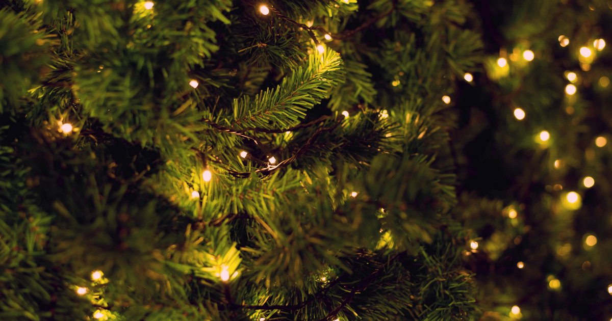 Christmas Tree Lights