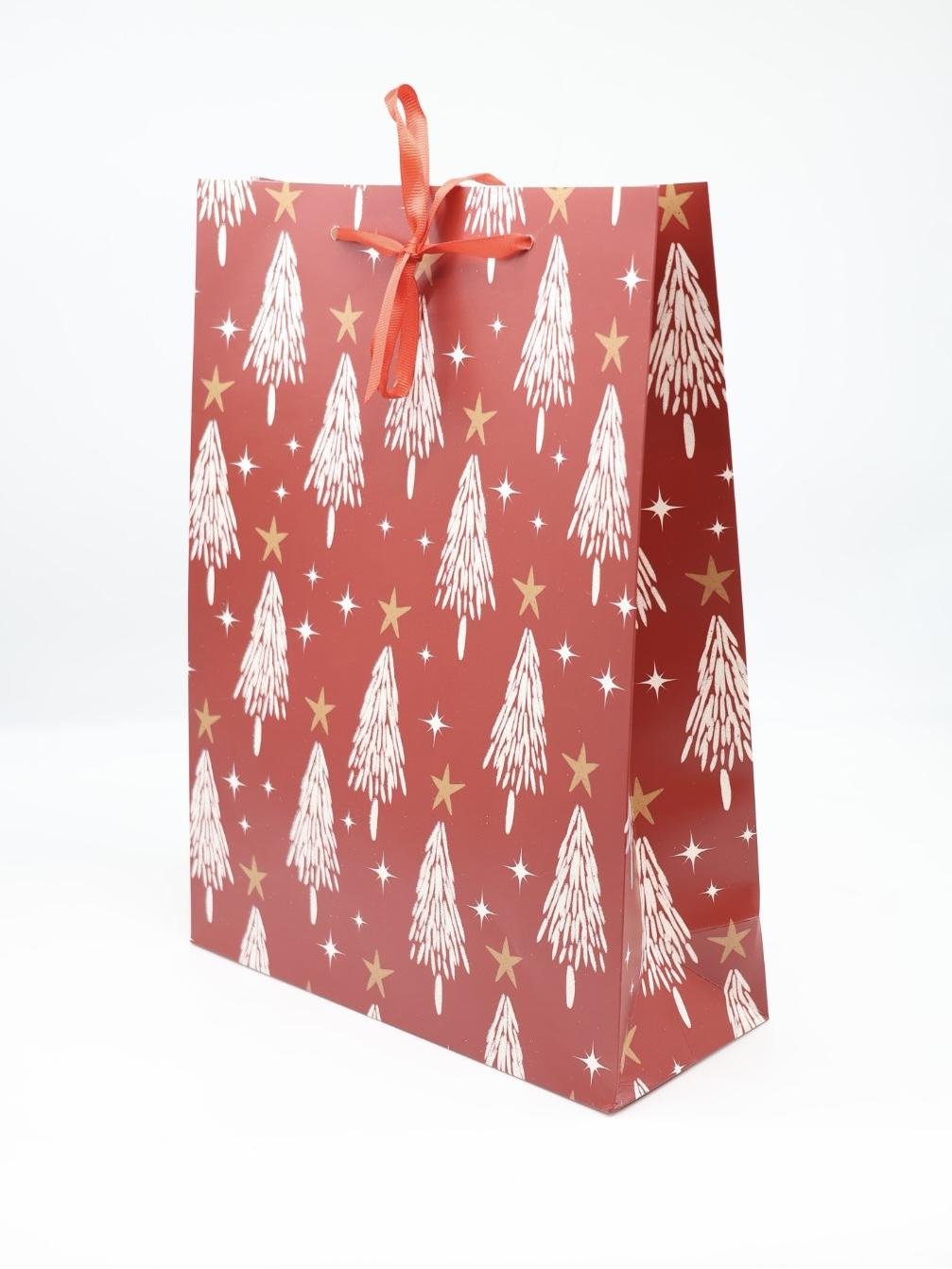 IMG_2366 Christmas Gift Bag - Image 1
