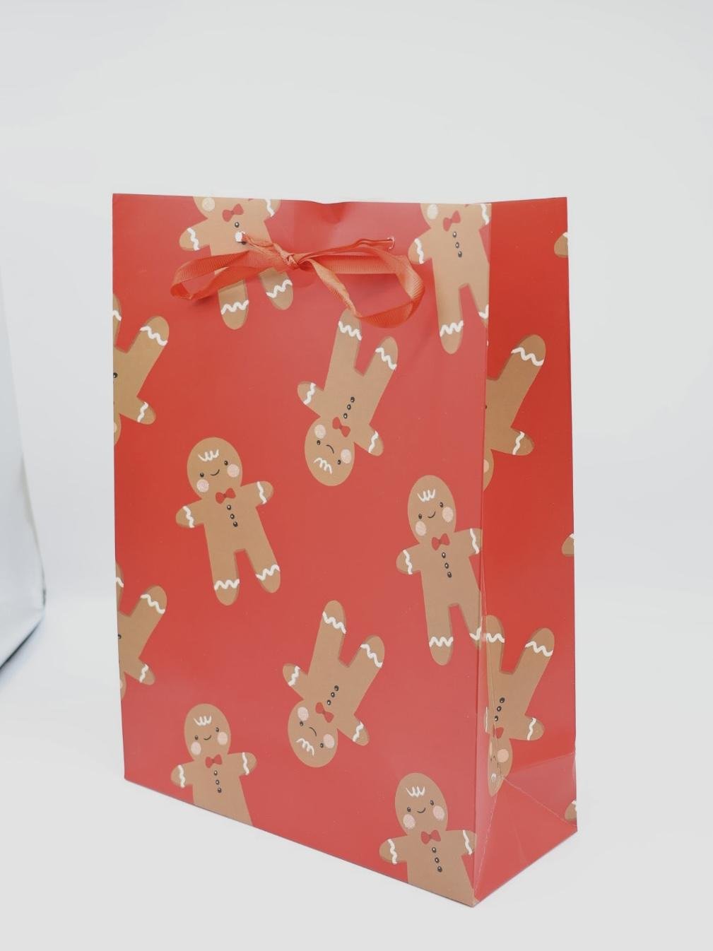 IMG_2367 Christmas Gift Bag - Image 1