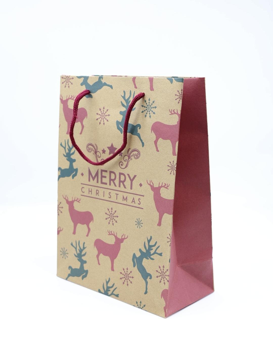 IMG_2369 Christmas Gift Bag - Image 1