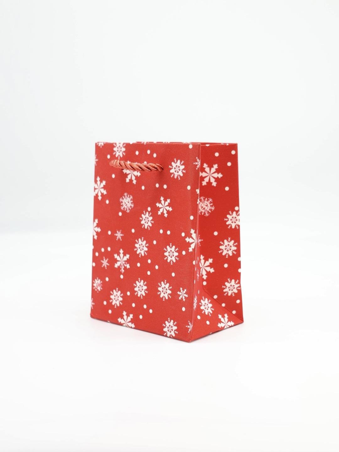 IMG_2374 Christmas Gift Bag - Image 1