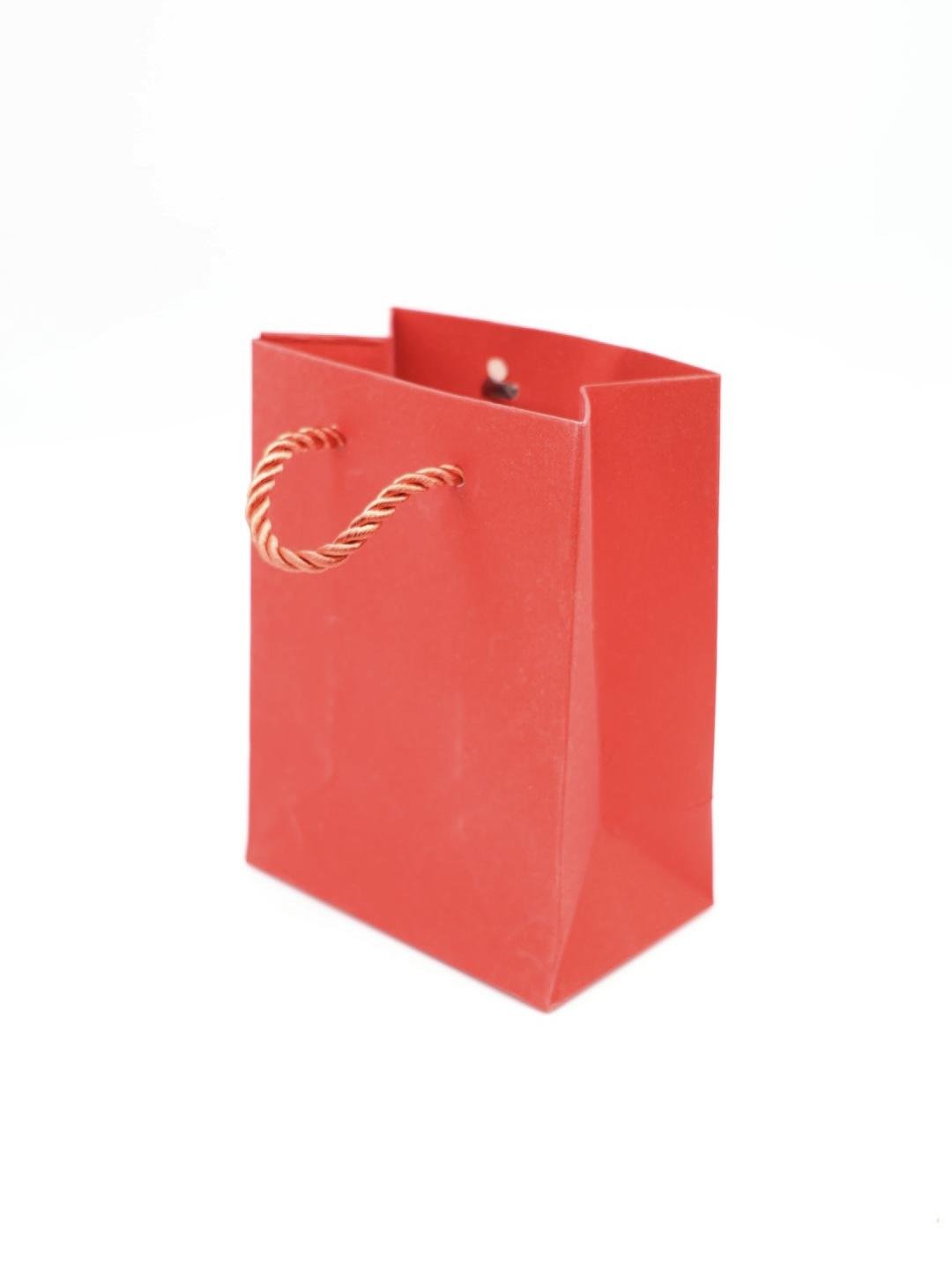 IMG_2382 Christmas Gift Bag - Image 1