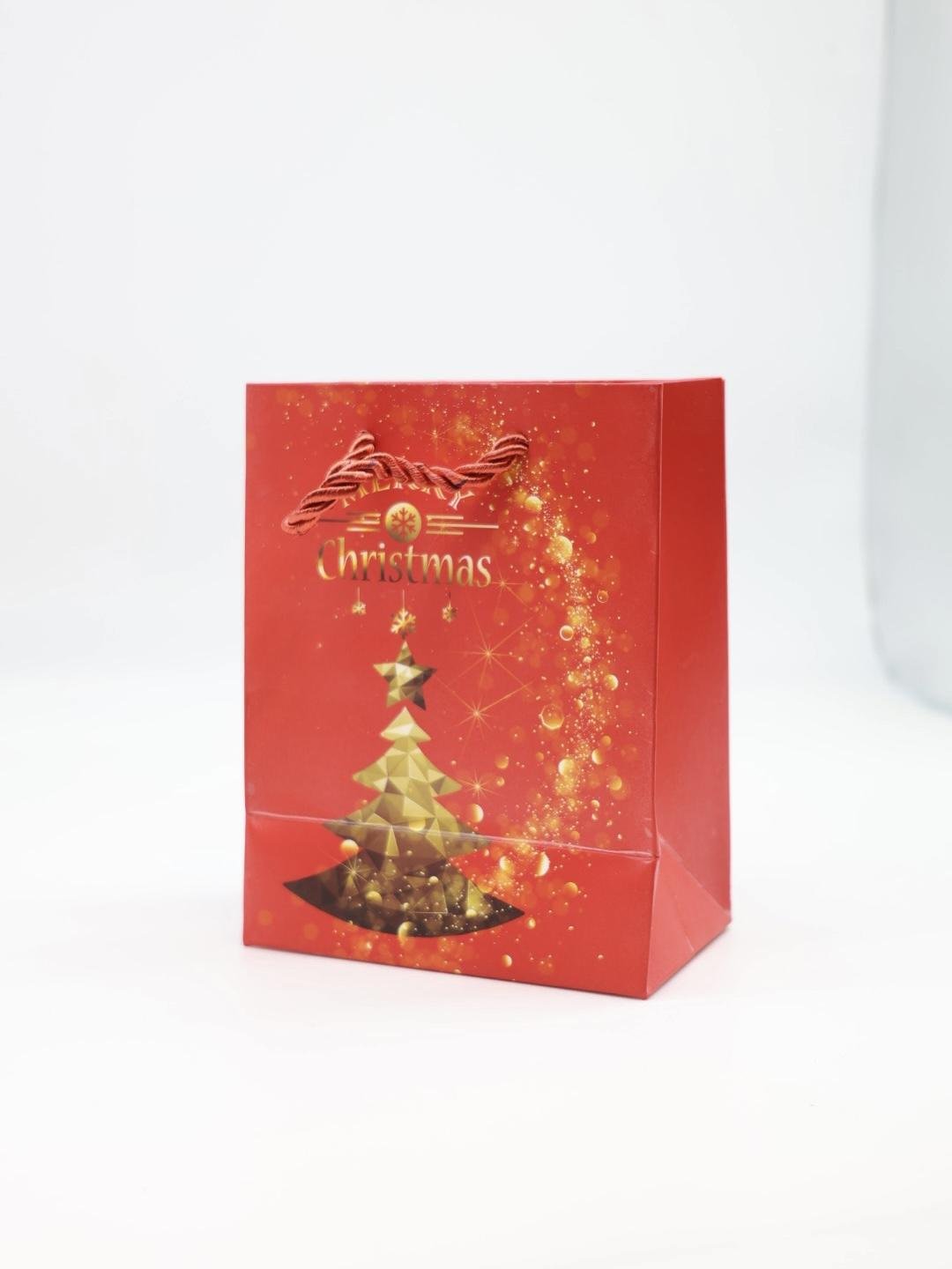 IMG_2385 Christmas Gift Bag - الصورة 1